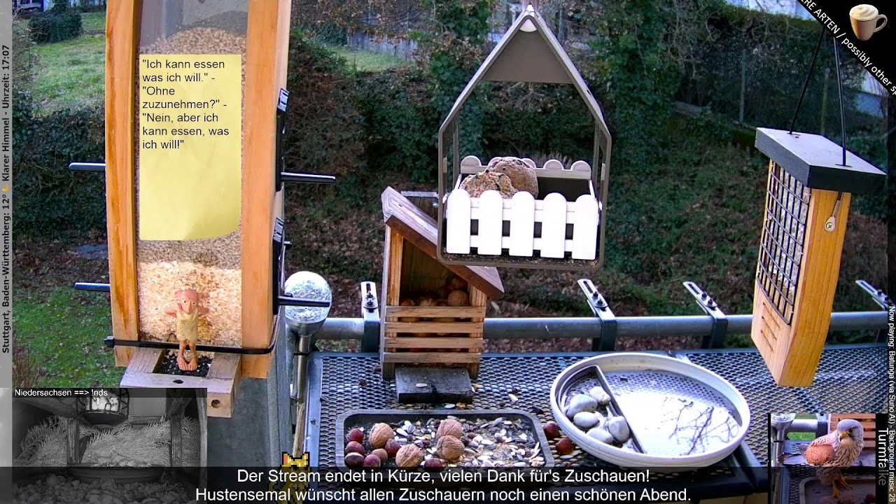 Vogel-Beobachtung/Bird-Watch - Stuttgart (!stg) und Niedersachsen (!nds) - Viel Spaß!