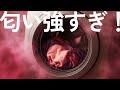【香害】四毒抜きをしたら他人の匂いが気になるようになった話。化学物質過敏症の人は香り付き洗濯洗剤や柔軟剤で体調が悪くなる？香料マイクロカプセルの真実？無香料のシャボン玉石鹸のアンケート結果公開！
