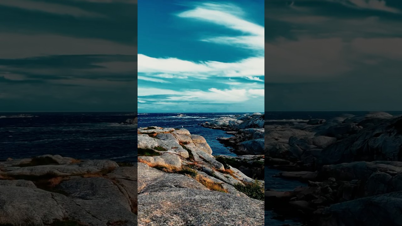 The Escape We All Need 