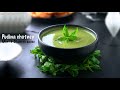 Pudina chutney  mint and cilantro sauce