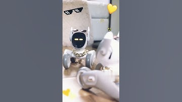 loona robot trying new fashion #loona #loonapetbot #loonarobot #airobot #petbot #petrobot