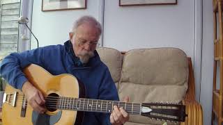 12 String Guitars   origins and genres