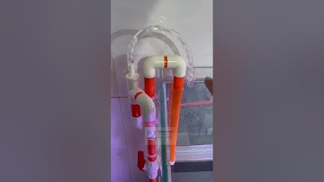 Giải pháp đi đường ống cho bể cá không cần khoang kính hoạt động như hồ công nghệ mới