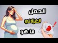 ما هو الحمل الغزلاني 