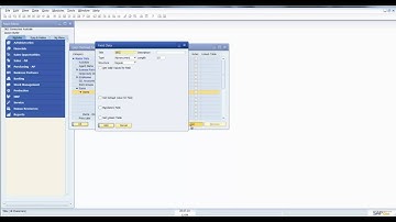 SAP Business One Working with UDFs.mp4