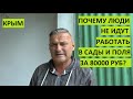 Почему крымчане не идут работать в поле за 80 000 рублей?