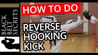 Reverse Hook Kick (Spinning Kick)