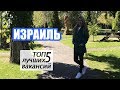 Работа в Израиле. Топ 5 лучших вакансий.