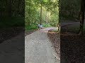 Nature walk into the woods.