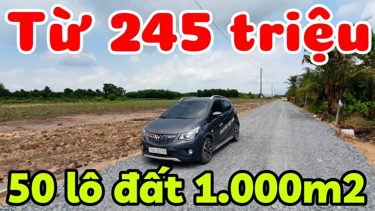 Bán 50 lô đất 1000m2 giá từ 245 triệu gần Chợ Hòa Bình Quốc lộ 14C và TL781 ở xã Hòa Hội Tây Ninh