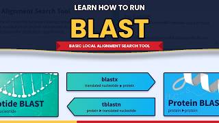 How to Run BLAST on NCBI — Complete Beginner's Tutorial
