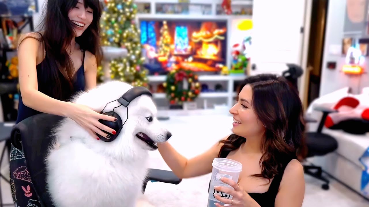 Gamer Dog Licks Her Foot