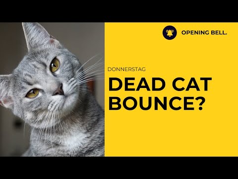 Thumbnail for Dead-Cat-Bounce? | Micron unter Druck