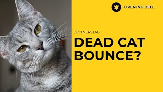 Dead-Cat-Bounce? | Micron unter Druck