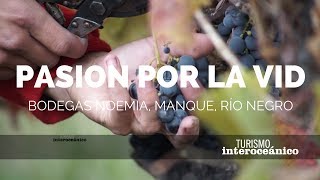 Pasión por la Vid - Bodegas Noemía de Patagonia - Manque, Río Negro - Turismo interoceánico