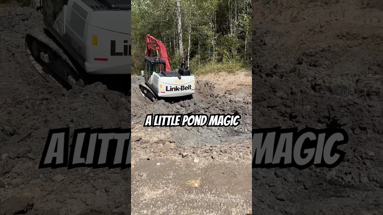 Когда ваш «крошечный пруд» превращается в озеро | Новости о фермерском доме и переезде (описание)