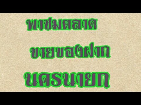 พาชมตลาดขายของฝากนครนายก