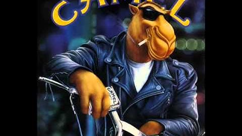 In memory of Joe Camel