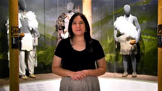 Cherokee Storytelling: How Spider Got the First Fire