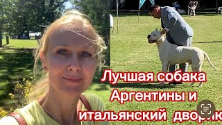 Лучшая собака Аргентины и итальянский дворик…