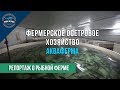 Фермерское осетровое хозяйство "АкваФерма"