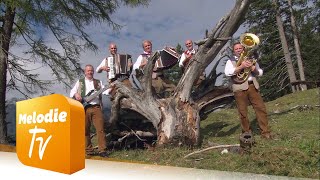 Video thumbnail of "Orig. Tiroler Echo - Der alte Holzknecht (Offizielles Musikvideo)"