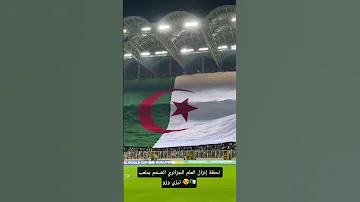 لحظة إنزال العلم الجزائري الضخم بملعب تيزي وزو اكسبلور Football Shorts Sarah Football 