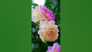 أمن يجيب المضطر إذا دعاه سورة النمل #دينيه #nature #لايك #duet #اكسبلور