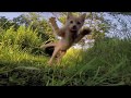 TV Ad Airing in Australia