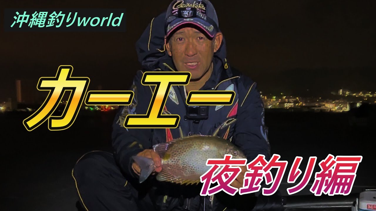 久しぶりのカーエー！！ 【カーエー】【沖縄フカセ釣り】（120 