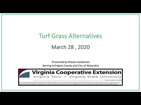 Vídeo: Alternativas à grama: alternativas de gramado em paisagens do sudoeste