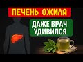 Даже застарелые болезни печени отступают от этой травы