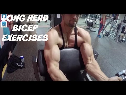 Bicep Series: Get Huge Peaked Biceps With These 3 Exercises long head