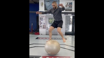Strong & Stable Knees 4 Life! and much much more- Ask me anything & much more AMA 102 - Coach Zahabi