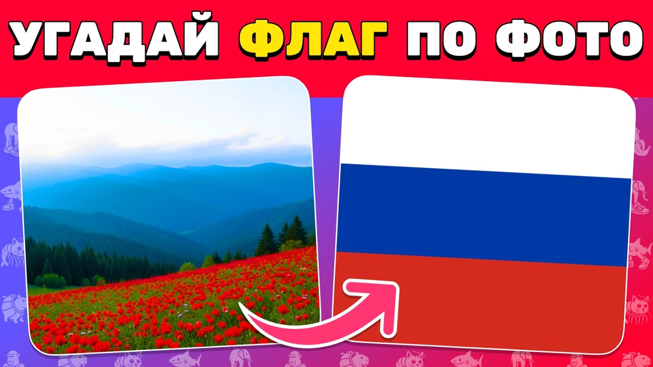 Угадай ФЛАГ по реальной ФОТОИЛЛЮЗИИ 🇷🇺🔍🌍 | Челлендж на внимательность