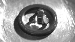 Leidenfrost Star-Shaped Water Drop