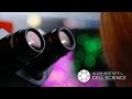 Introducing the allen institute for cell science