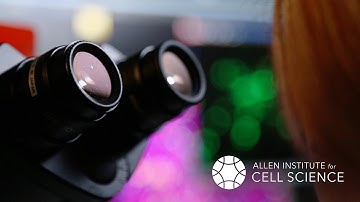 Introducing the Allen Institute for Cell Science