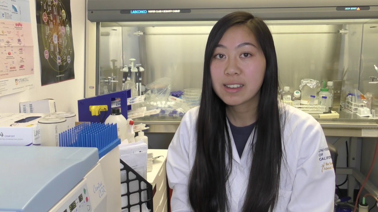 The PHLBI Student Research Program 2019