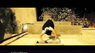 Marissa Labog 2017 Stunt Reel