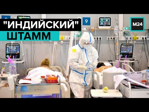 Чего ждать от "индийского" штамма коронавируса? "Специальный репортаж" - Москва 24