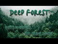 Deep Forest Instrumental Relaxing Music