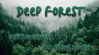 Deep Forest Instrumental Relaxing Music