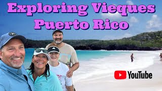 The Ultimate Guide To Vieques Island Puerto Rico: Top Things To See And Do