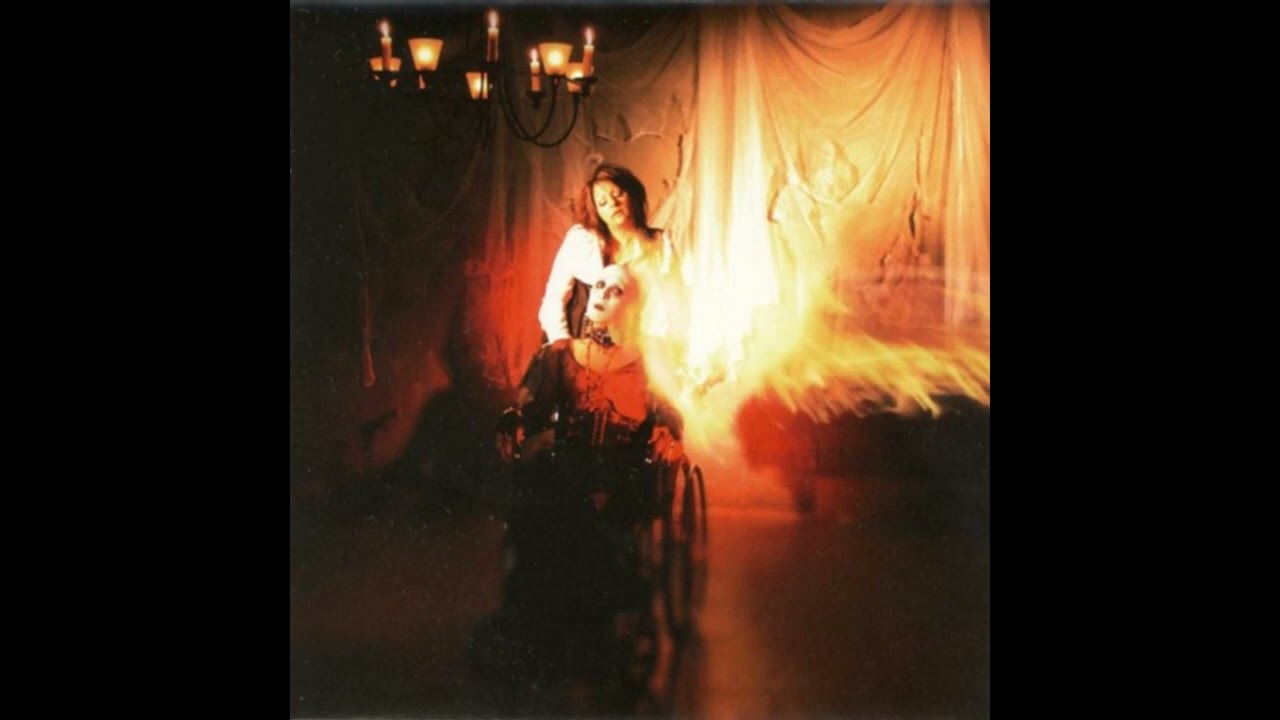 Auto-Mod - Poison Night