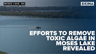 Efforts to Remove Toxic Algae in Moses Lake Revealed