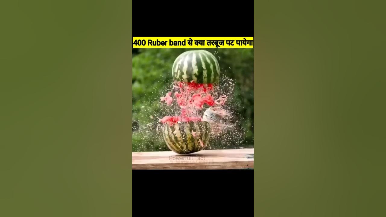 watermelon rubber band explosion || watermelon experiment with
