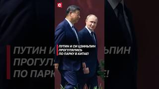 Путин и Си Цзиньпин прогулялись по парку в Китае! #путин #сицзиньпин #китай #прогулка #парк