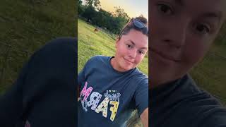 Katie Van Slyke A Guide to the Solid Horse Colors🐴 