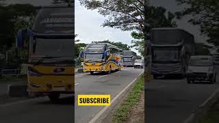 Download Lagu TELOLET BASURI MURNI JAYA DOBEL DECKER❗❗❗#short #subscribers #teloletbus #telolet#hobbybus MP3